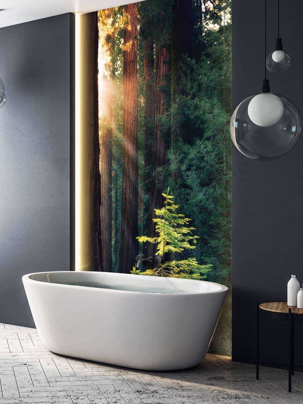 Sunlight between the mahogany trees