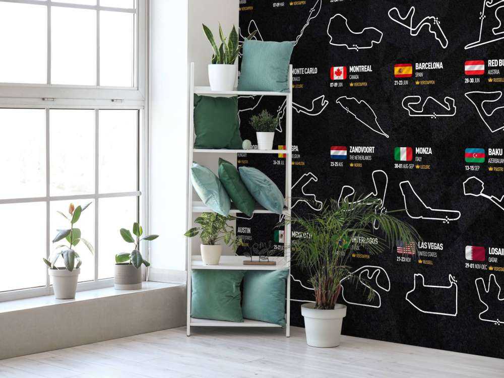 Formula 1 2024 - Winners map