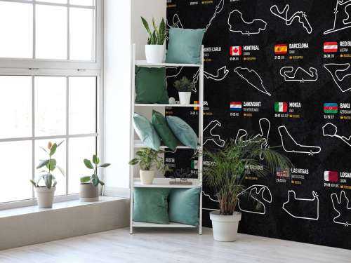 Formula 1 2024 - Winners map