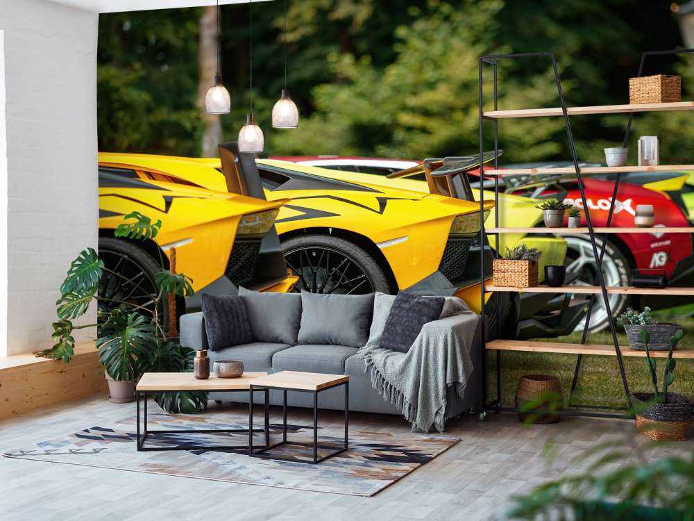 Supercar collection in nature