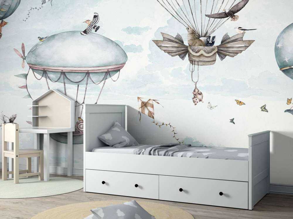 Hot Air Balloon Adventures