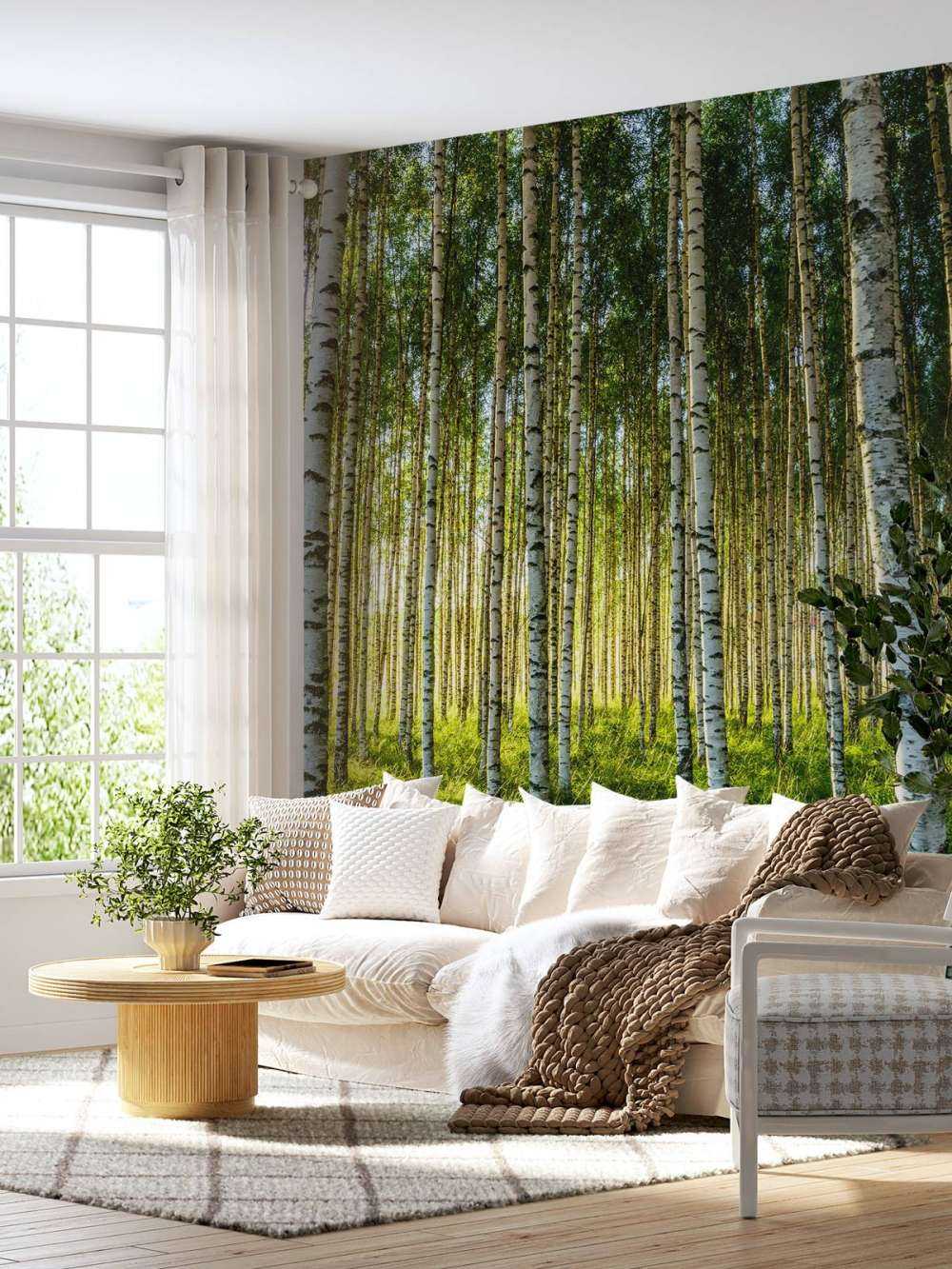 Summer birch forest