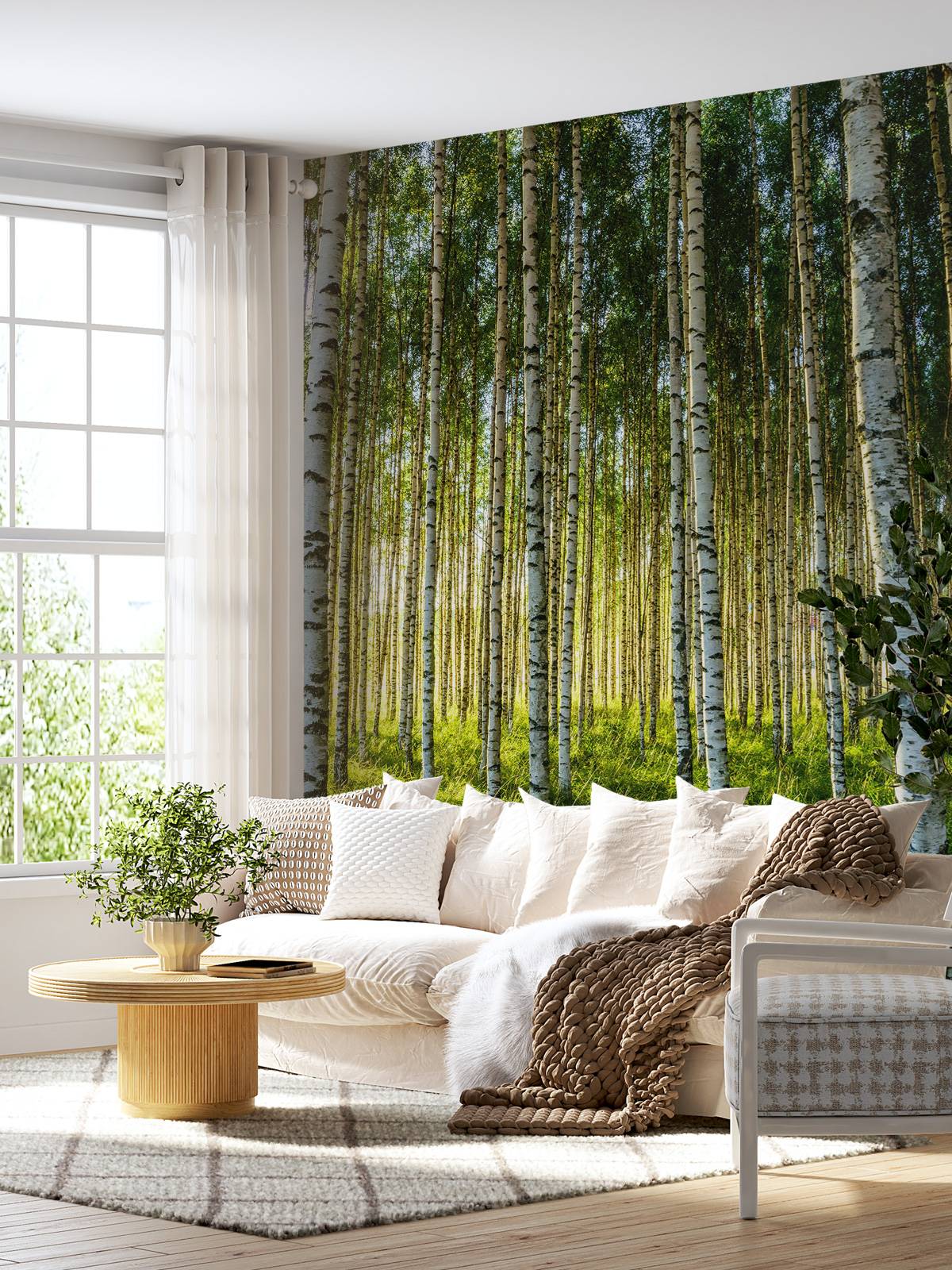 Summer birch forest