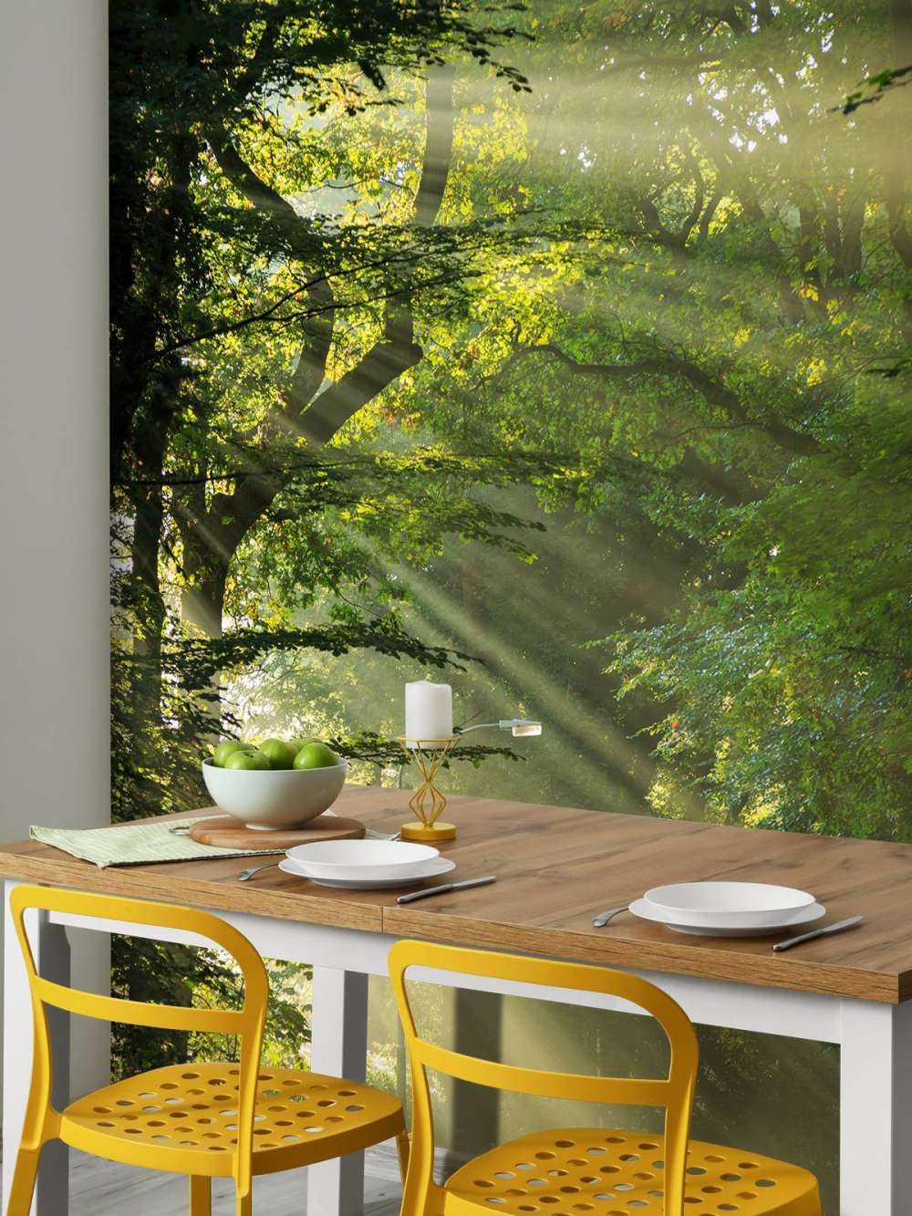 Sunbeams through the trees