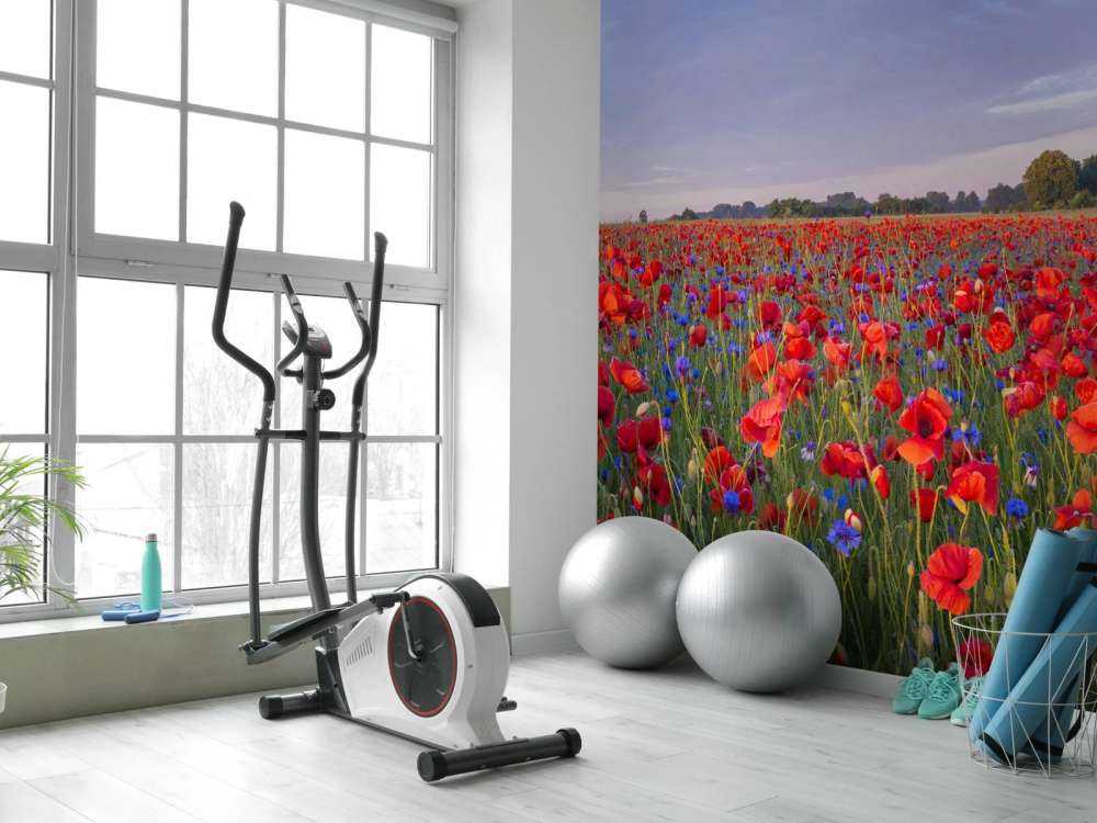 Blue flowers and red Poppies