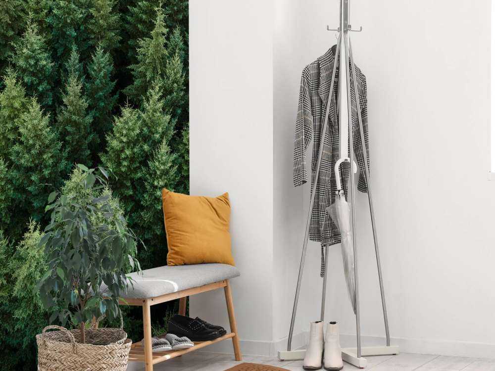 Douglas firs from above