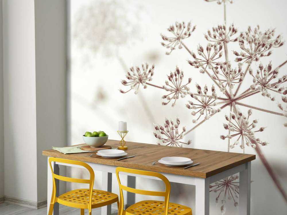 Close-up cow parsley