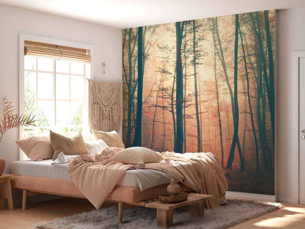 Vintage color forest