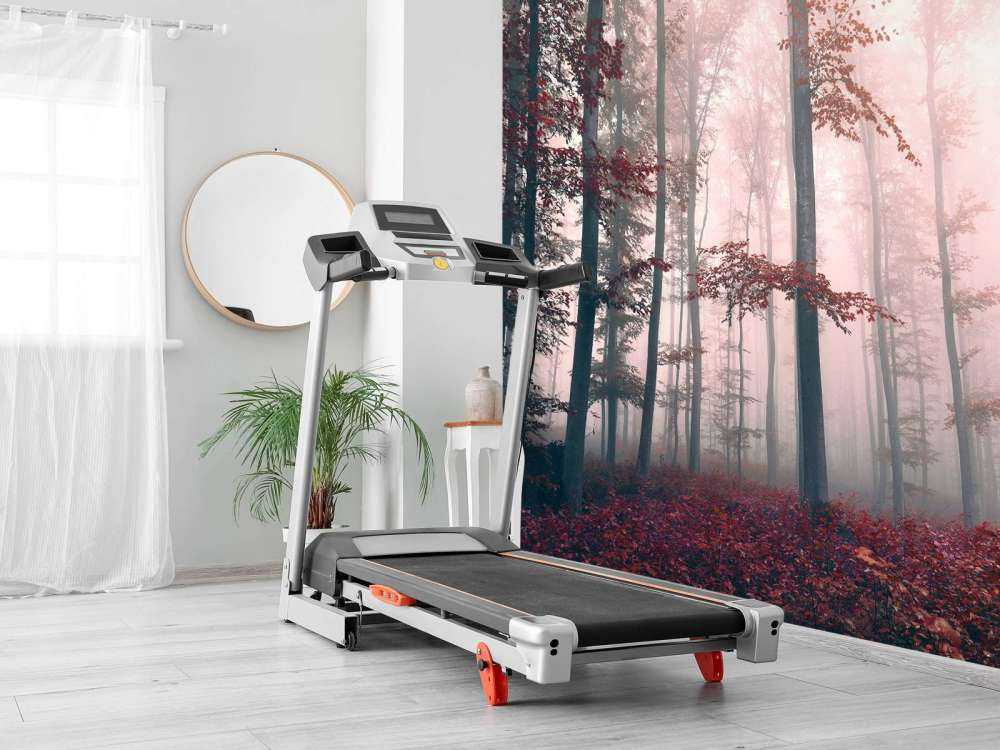 Red forest landscape