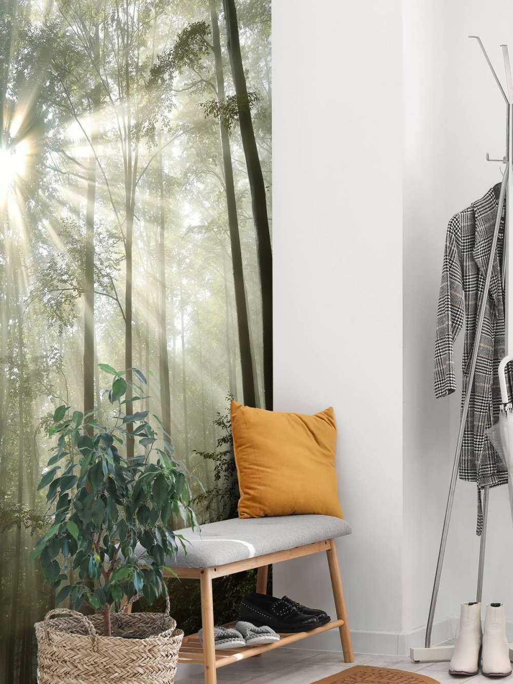 Forest in foggy weather