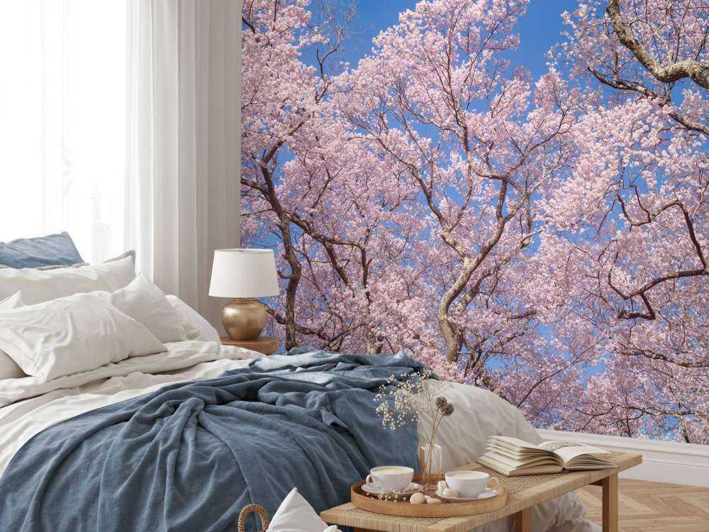 Blossoms with blue sky