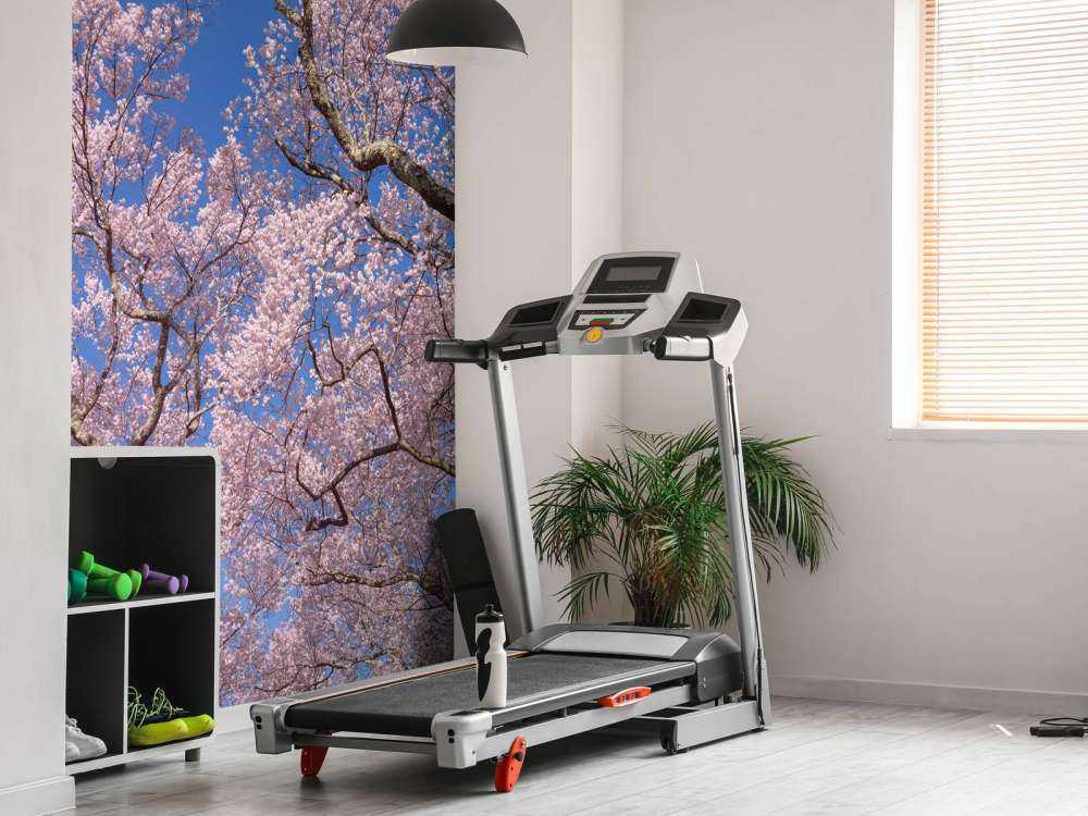 Blossoms with blue sky