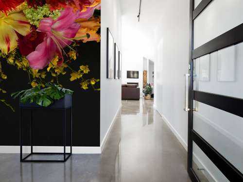 Coloured flowers