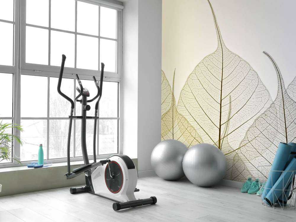 Skeleton leaves on coloured background