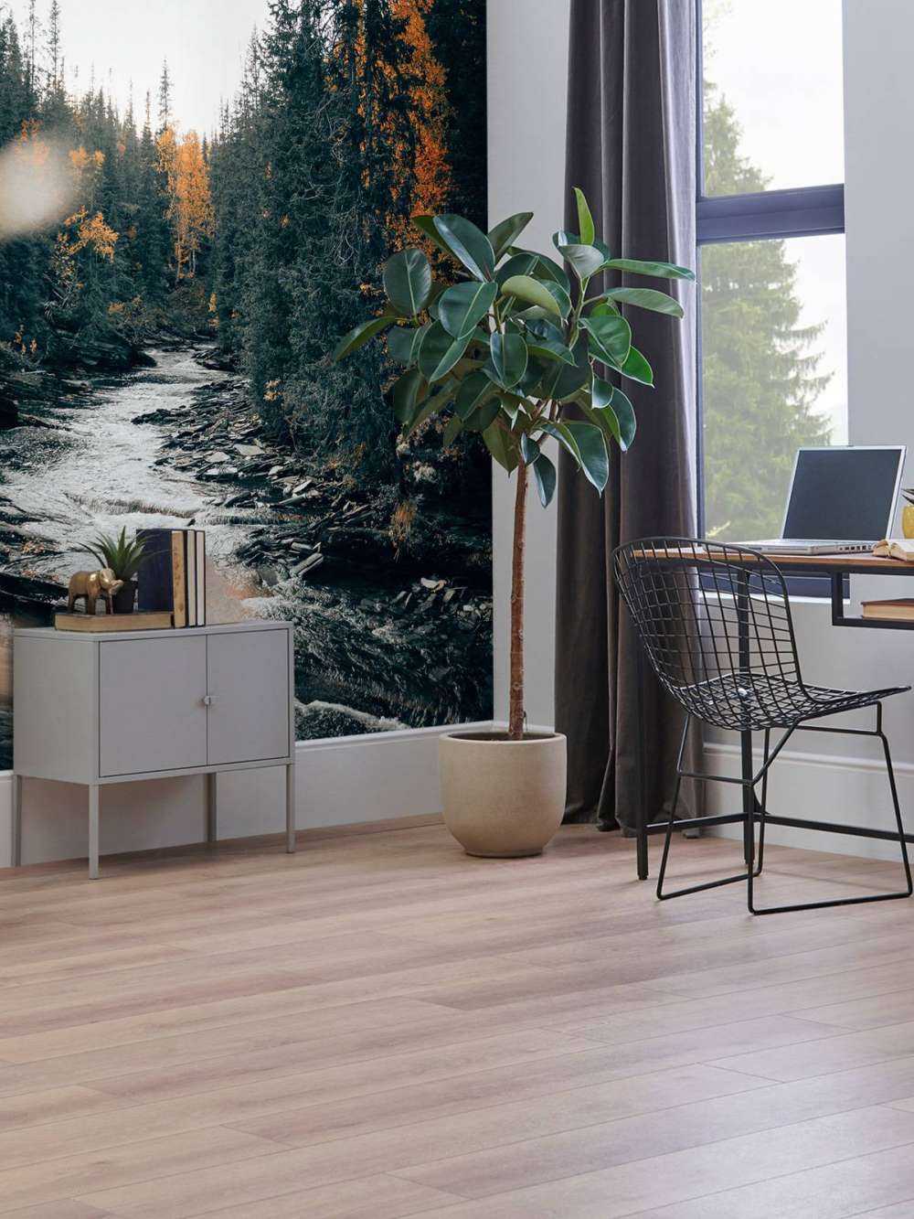 Enchanted autumn forest