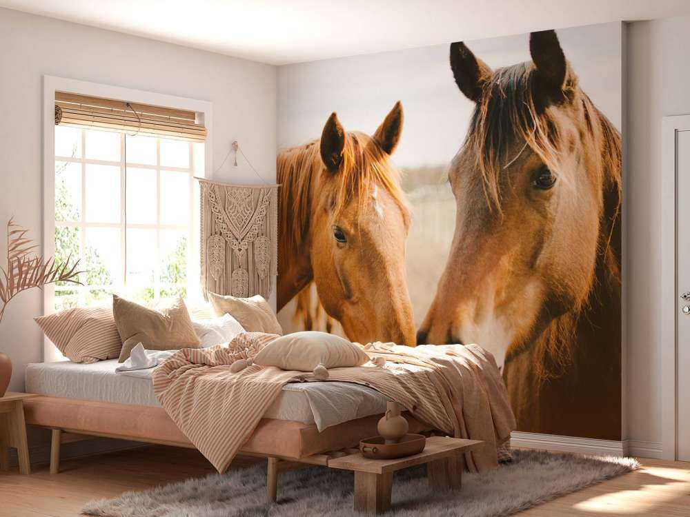 Two horses
