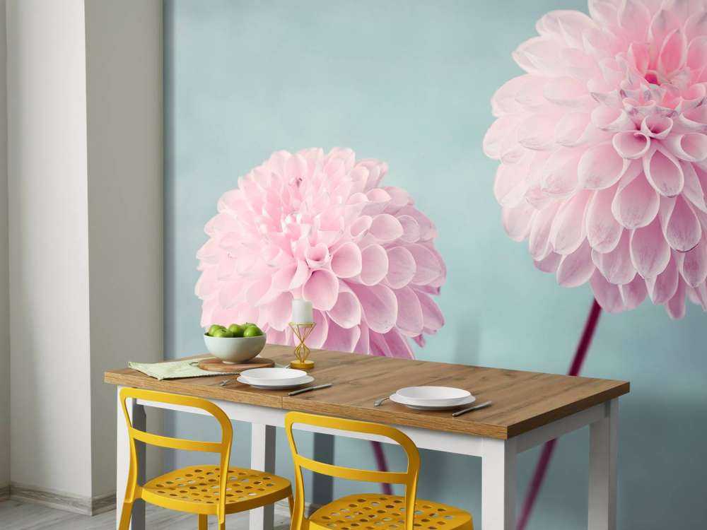 Two Dahlia Flowers