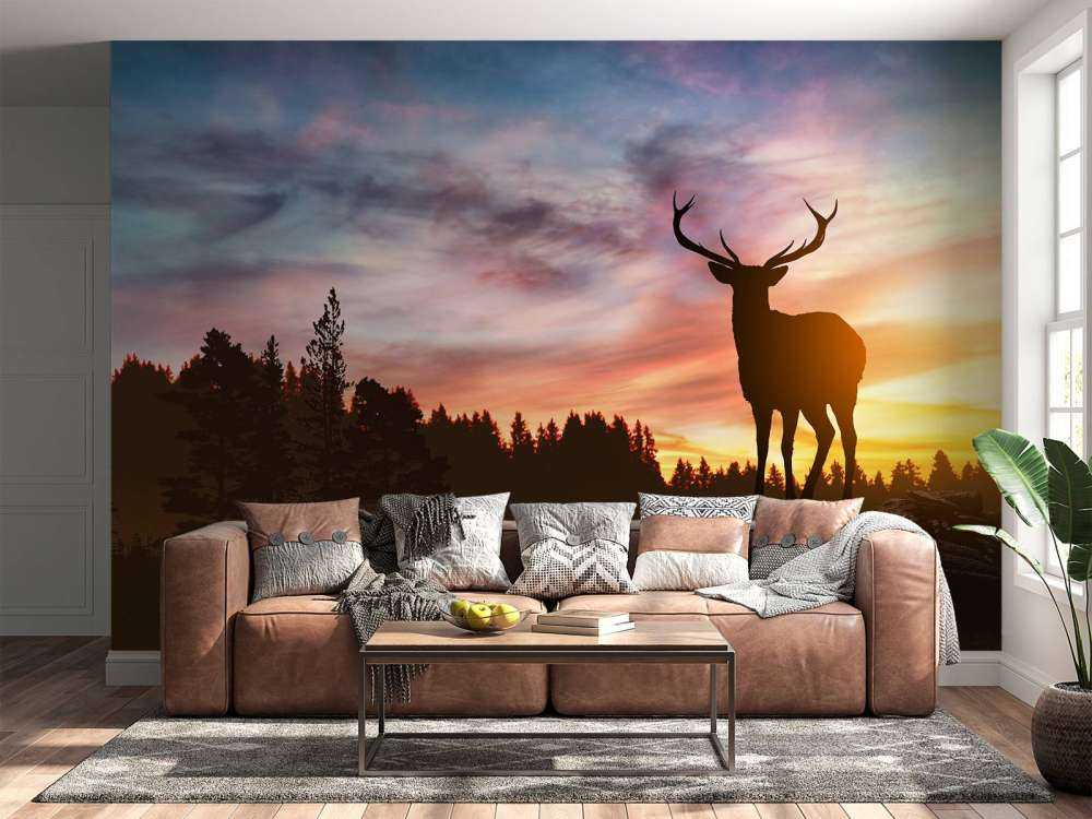 Deer with sunset