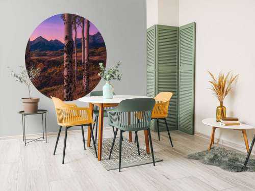 Aspen Frames