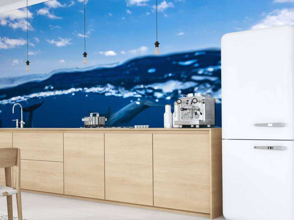 Between air and water with the dolphins