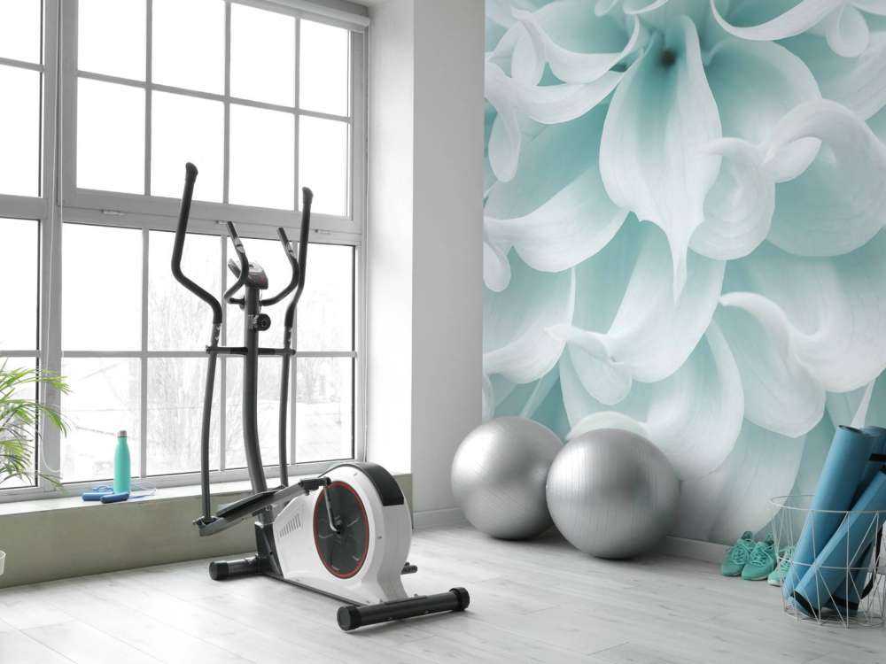 Light colored dahlia