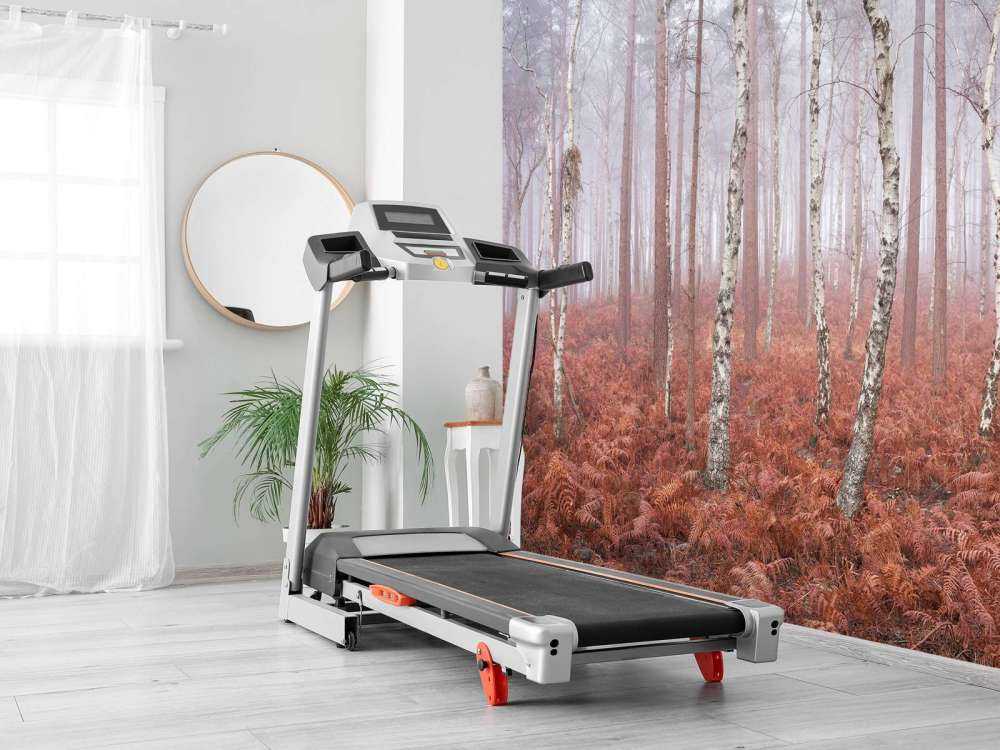 Deserted foggy forest