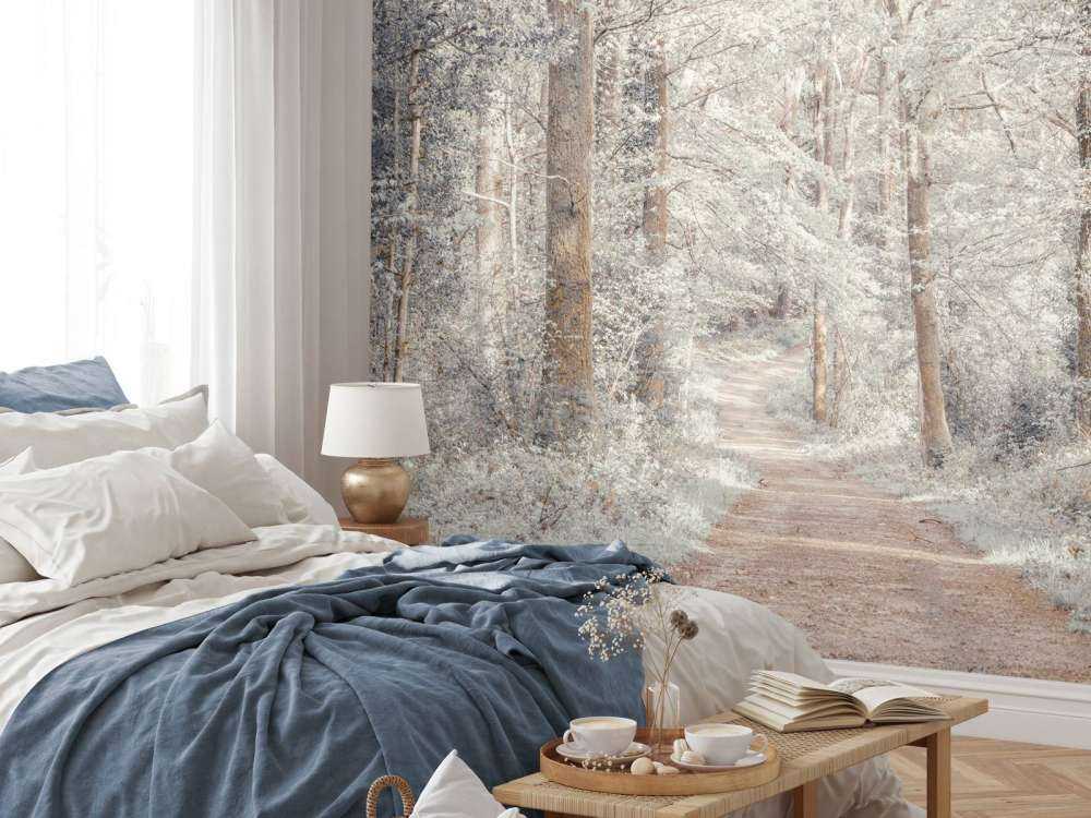 A path through a green forest