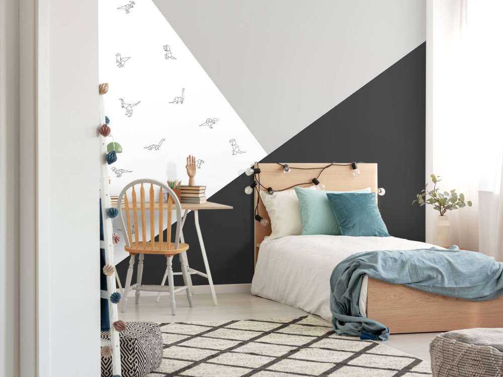 Black and white triangles with dinosaurs