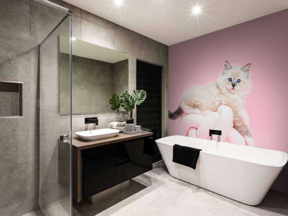 White cat on pink background