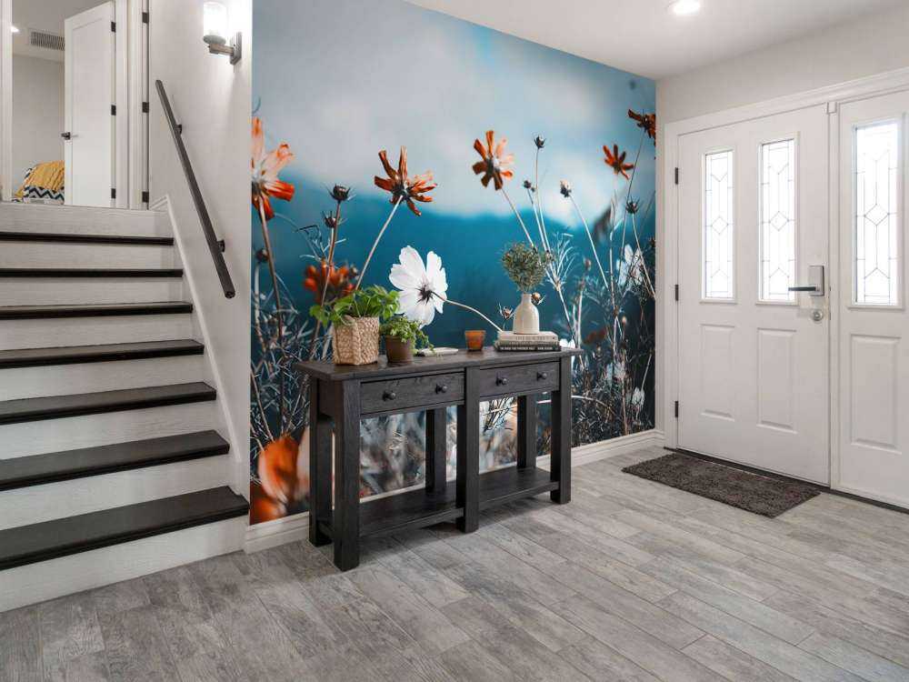 Cosmos flowers in the field