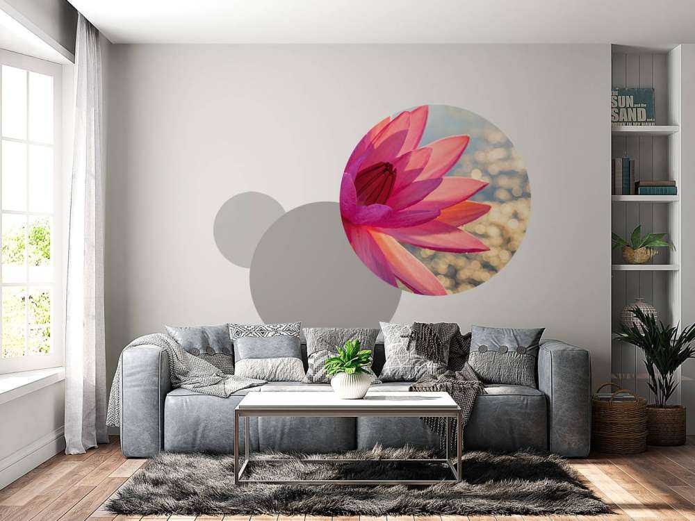 Lotus flower on water