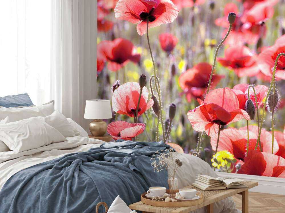 Poppies with vintage look