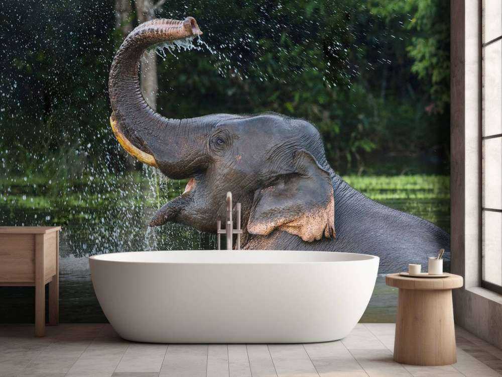 Elephant in water