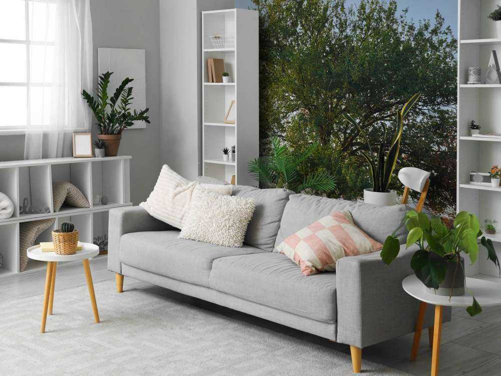 Lonely tree on the heath