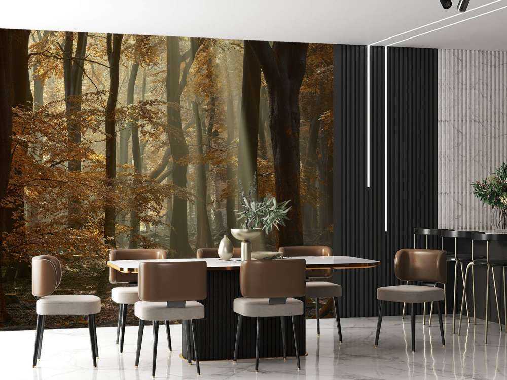 Autumn colours in the forest