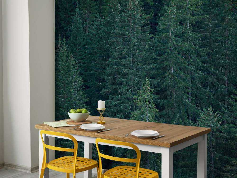 Conifers with pine cones