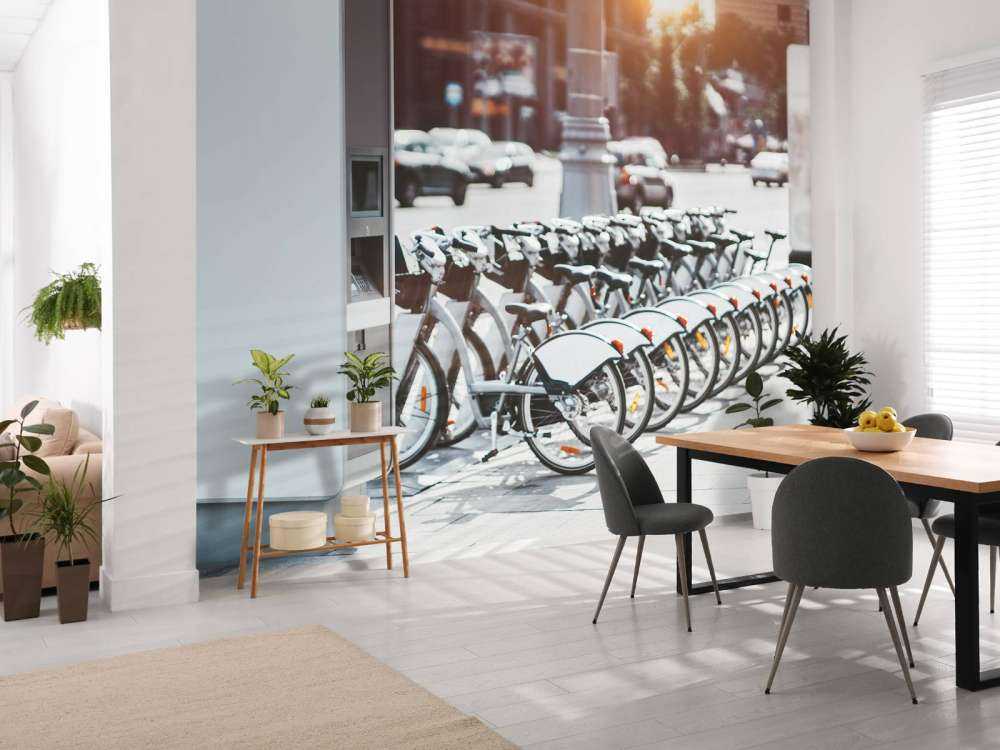 Electric bikes for rent