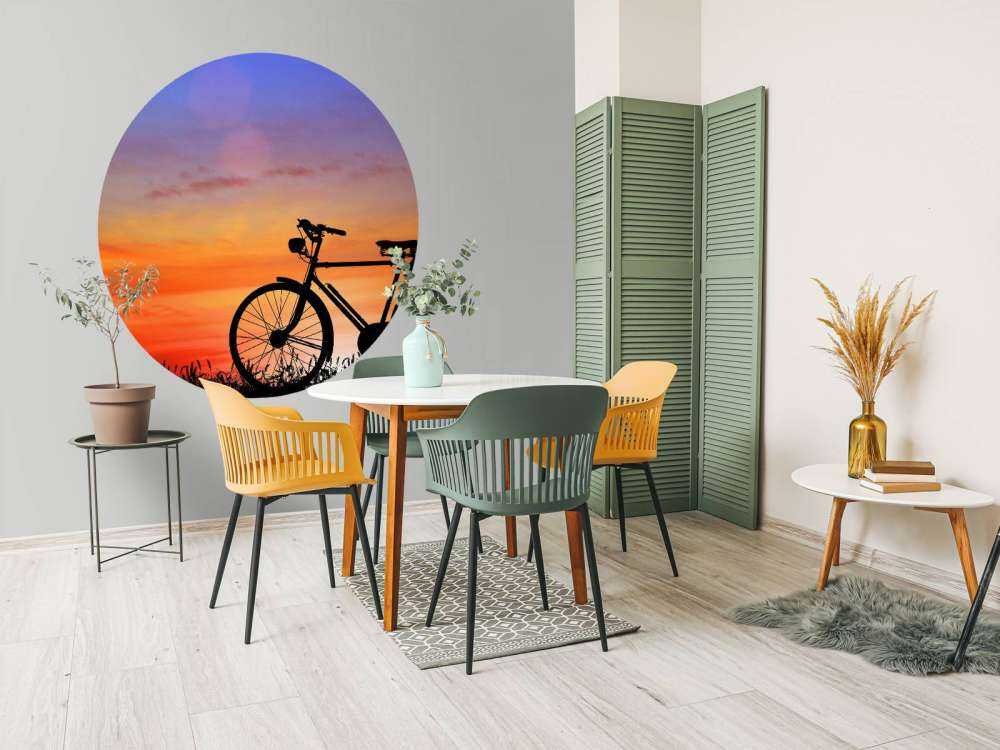 Vintage bike at sunset