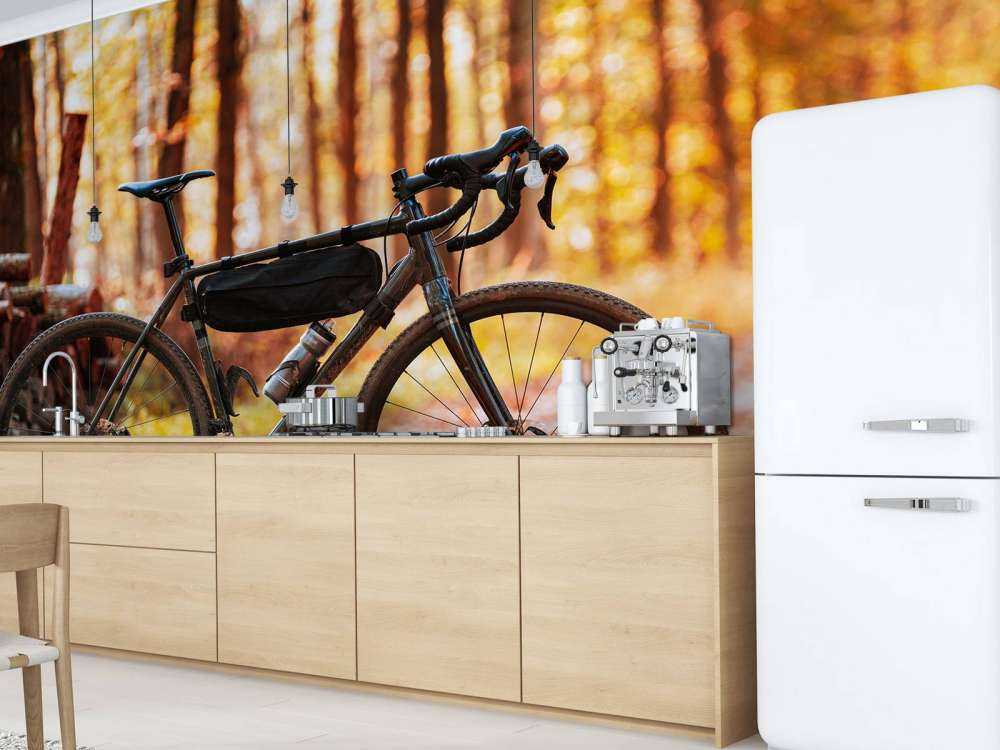 Bike in autumn