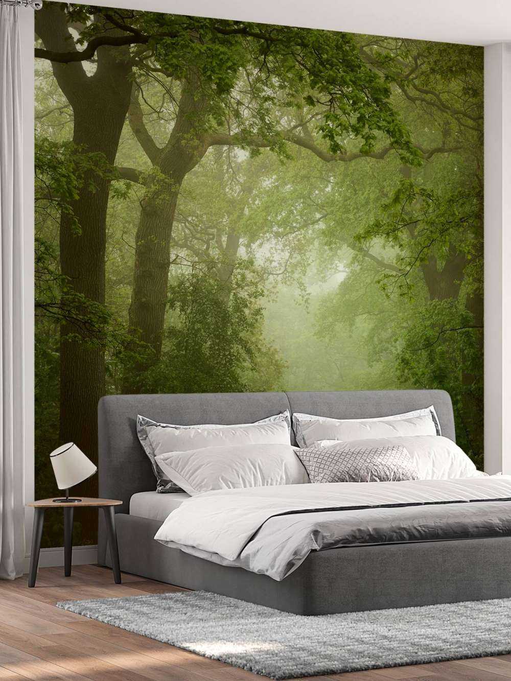 Forest path in the mist