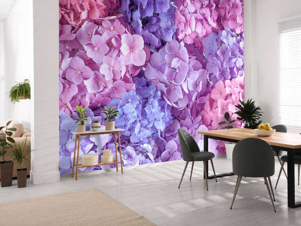 Colorful hydrangeas