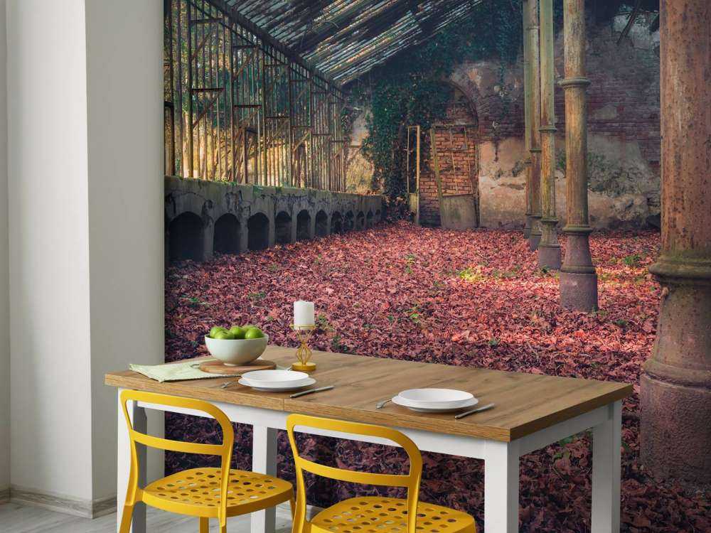 Abandoned house with leaves