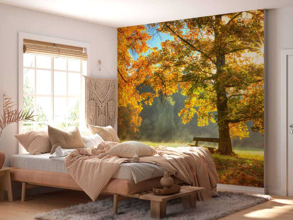 Tree in autumn colors