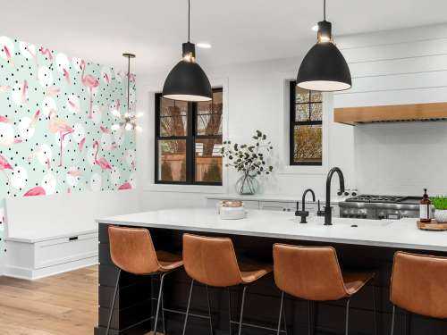 Flamingos and feathers