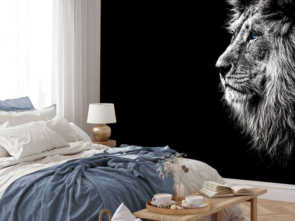 Lion with blue eyes