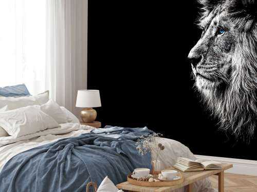 Lion with blue eyes
