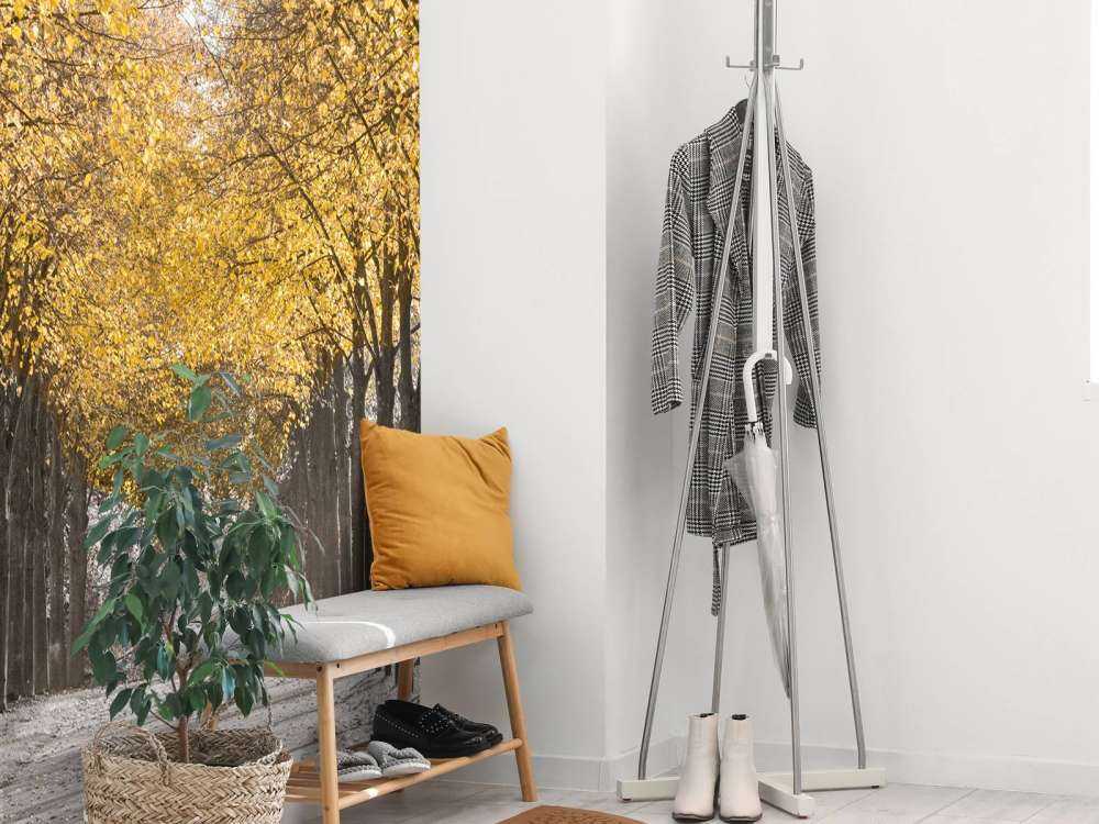 Path through the trees