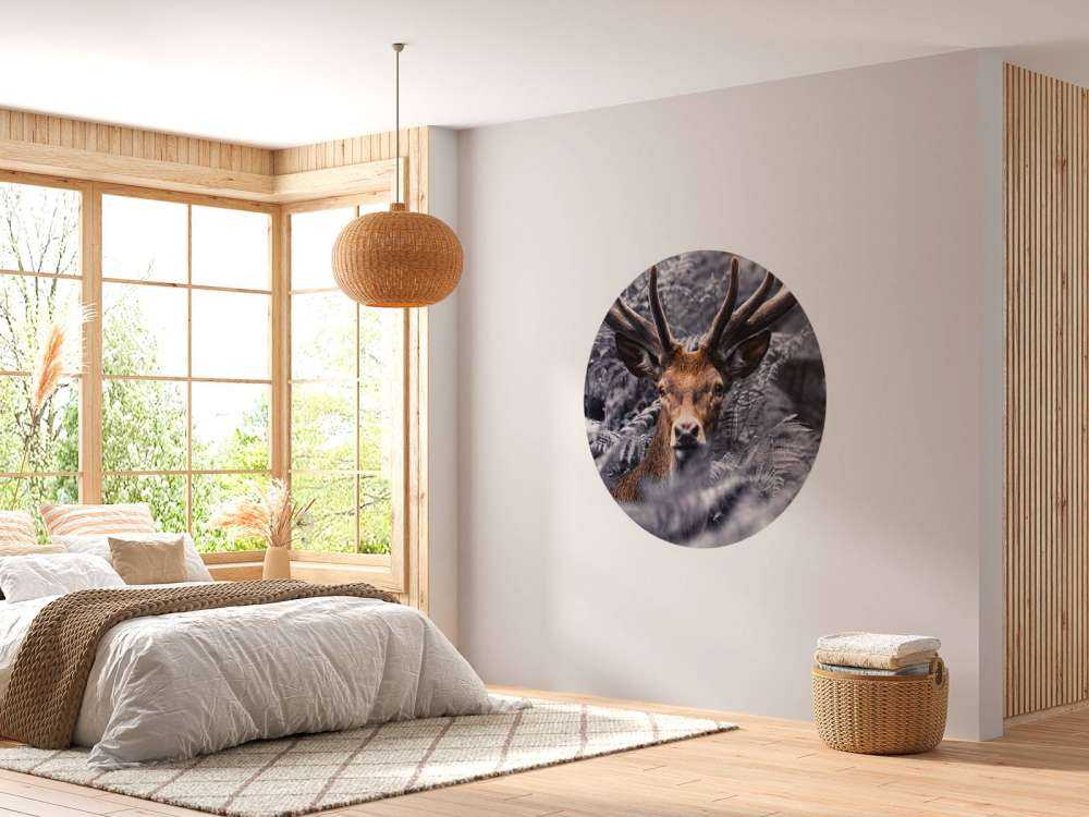 Close-up deer