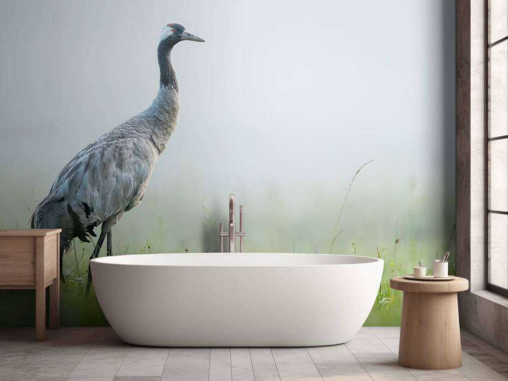 Crane in the morning mist