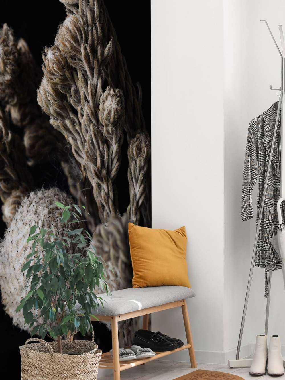 Close-up planten op zwart achtergrond